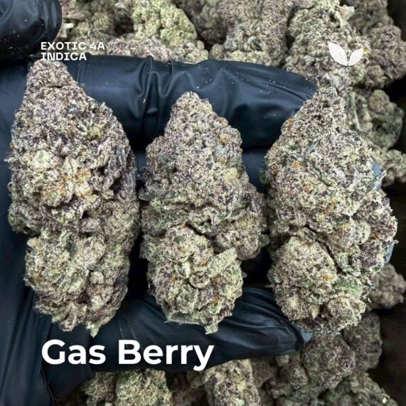 Gas Berry cannabis phuket