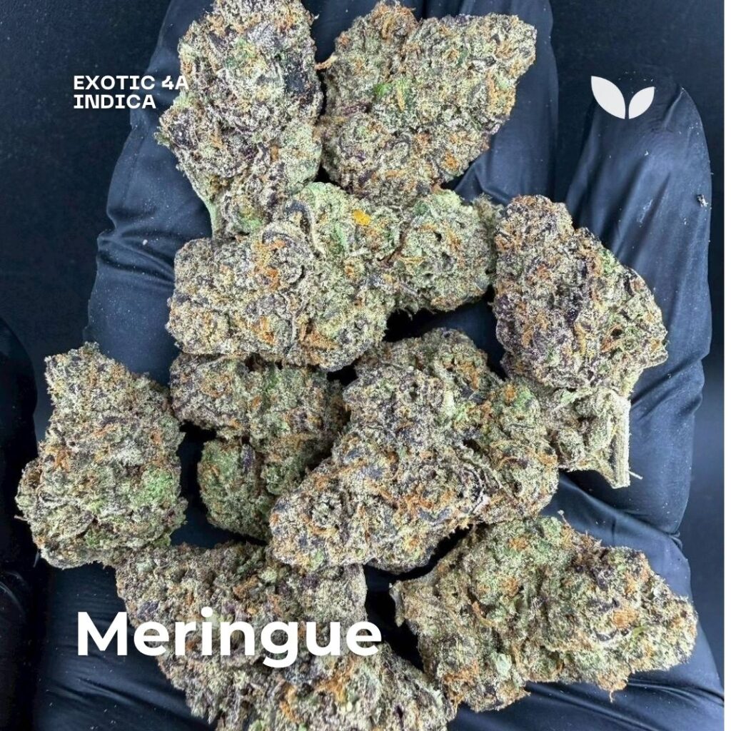 Meringue cannabis strain thailand phuket 2 Meringue cannabis strain thailand phuket 2