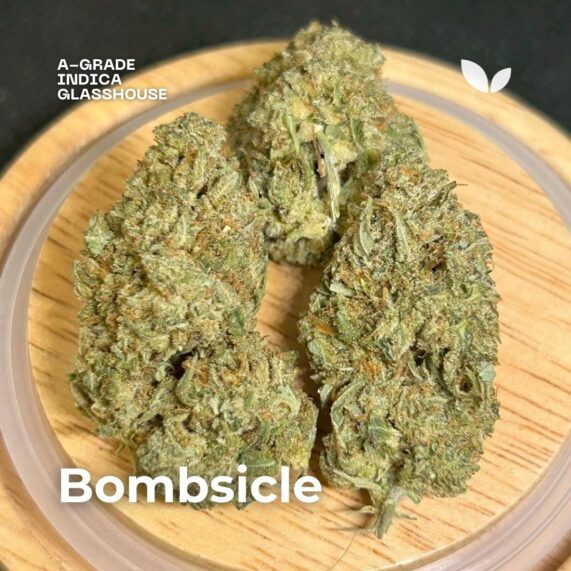 bombsicle weed strain phuket delivery