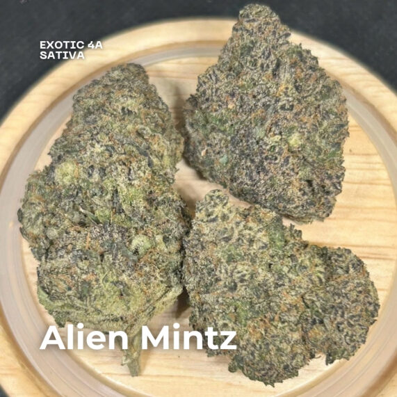 Alien Mintz weed strain phuket delivery sativa exotic 4a