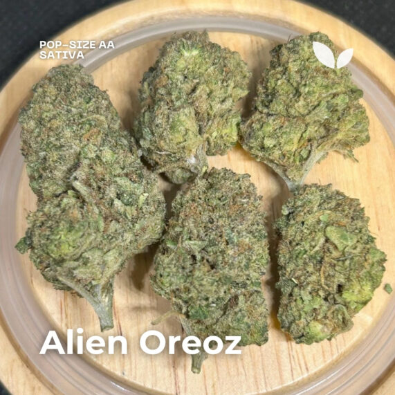 Alien Oreoz weed strain phuket delivery sativa