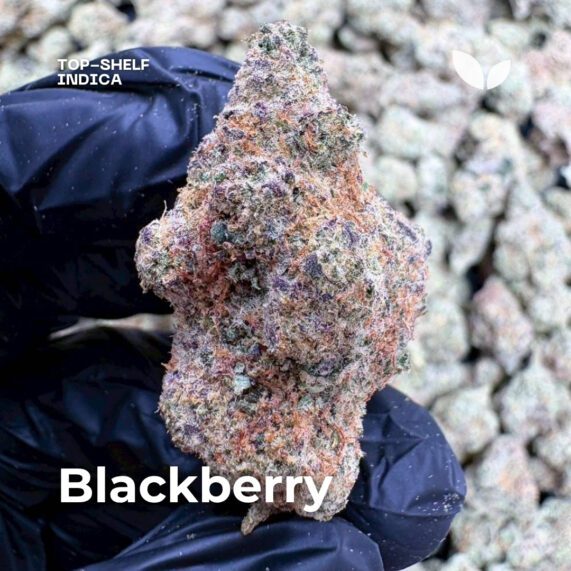 Blackberry weed strain indica phuket delivery
