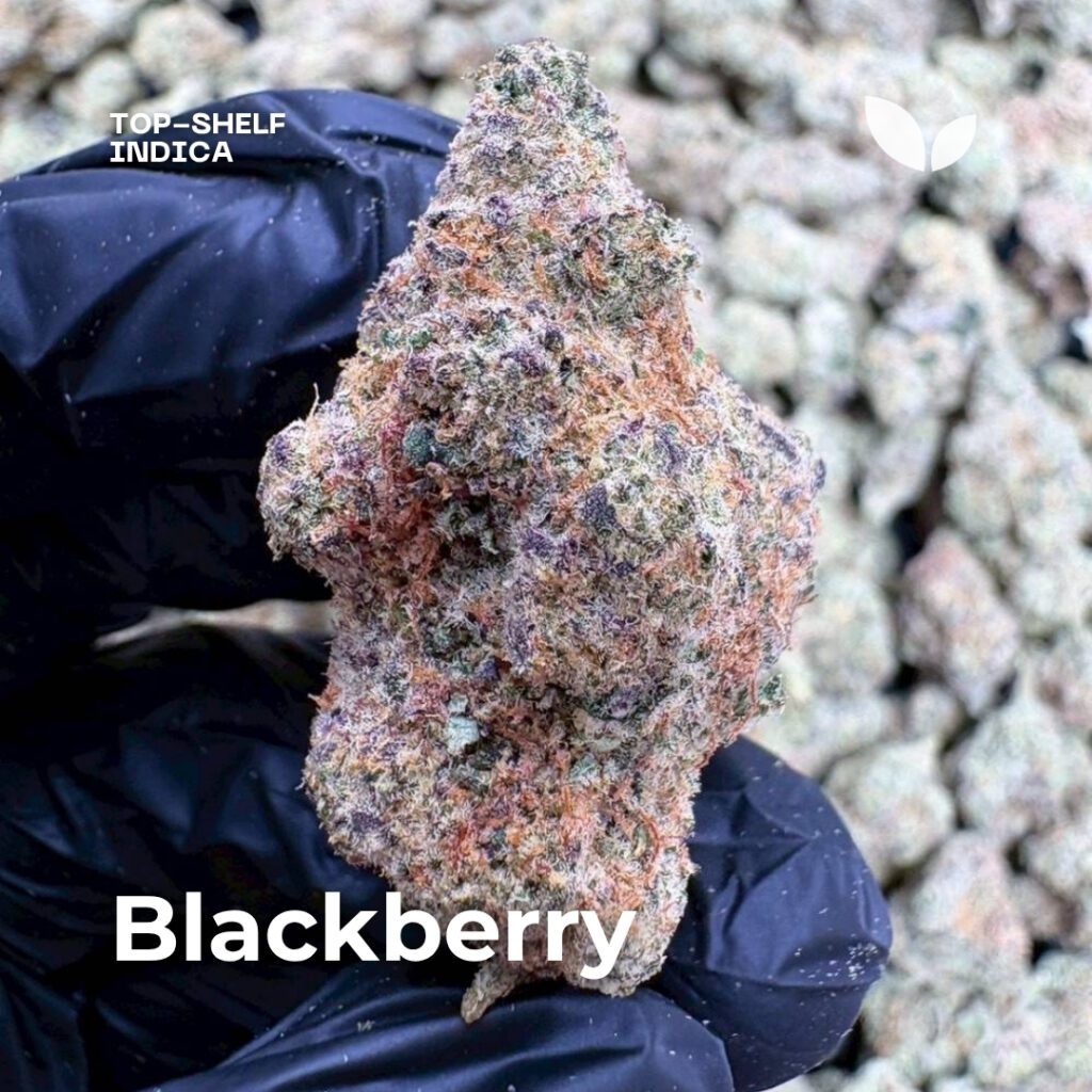 Blackberry weed strain indica