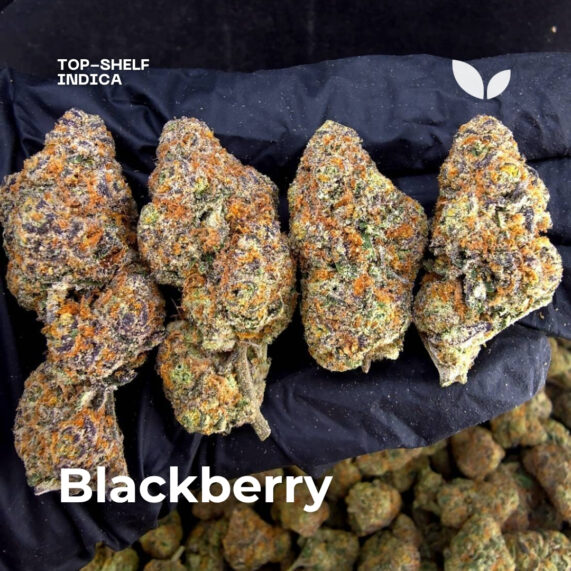 Blackberry weed strain phuket delivery indica