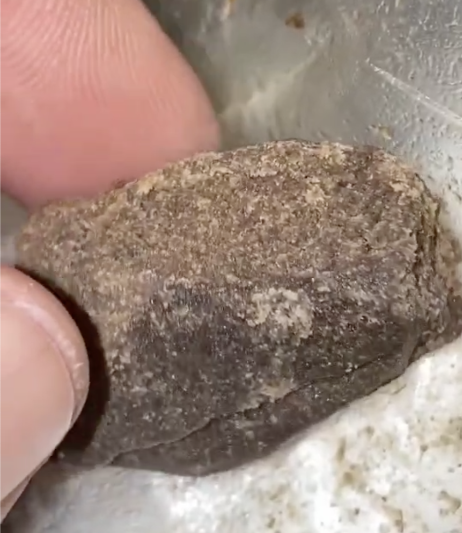 Blue Zushi, Cali Weed Hash 2 Blue Zushi, Cali Weed Hash 2