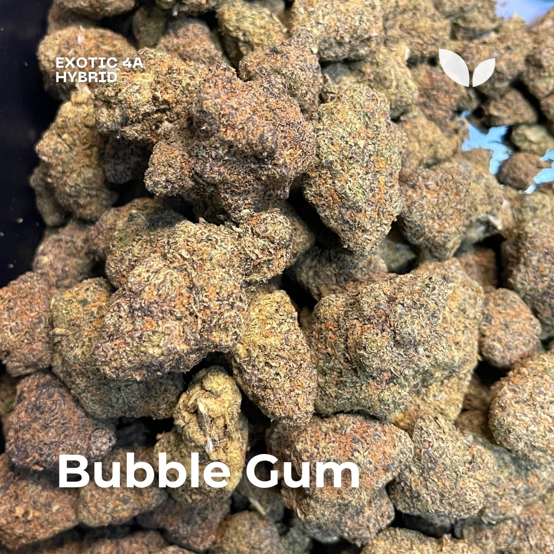 Bubble Gum hybrid weed phuket delivery