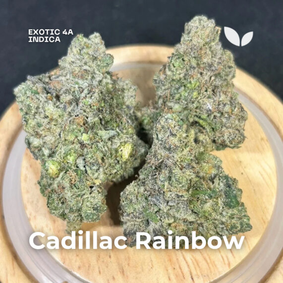 Cadillac Rainbow weed strain delivery phuket indica exotic 4a