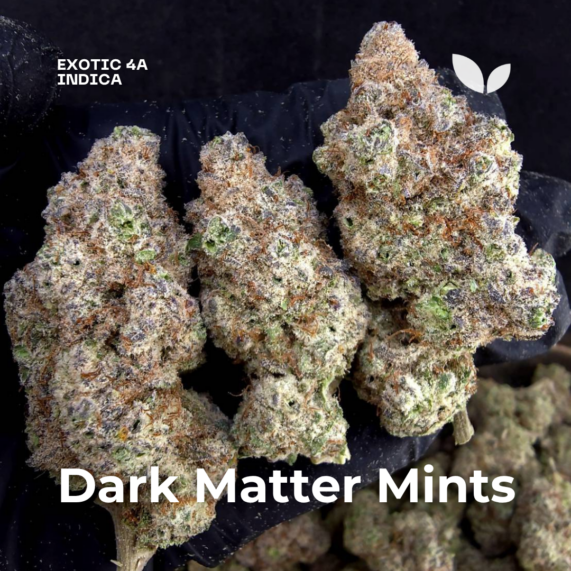 Dark Matter Mints weed strain phuket delivery