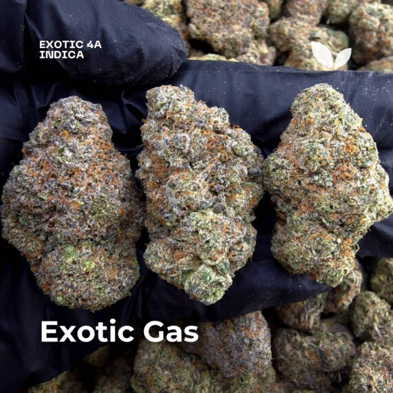 Exotic Gas weed strain phuket delivery