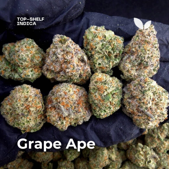 Grape Ape weed strain phuket delivery indica
