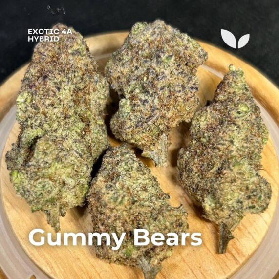 Gummy Bears weed delivery phuket, hybrid strain