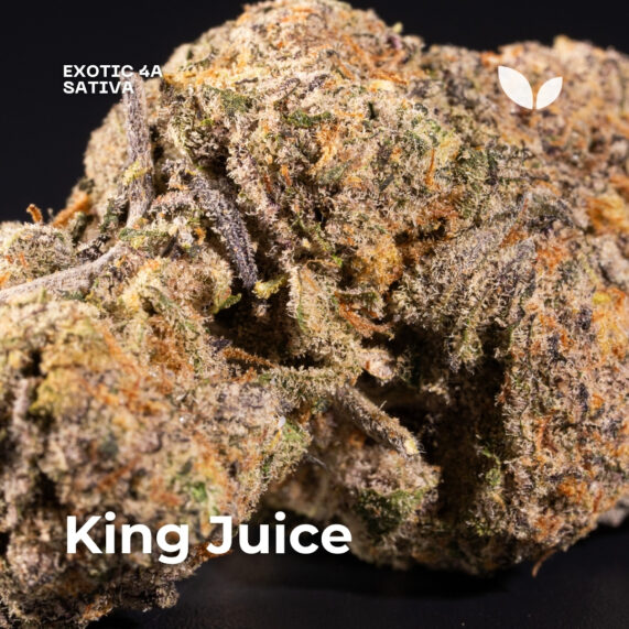 King Juice weed strain 2 King Juice weed strain phuket delivery sativa