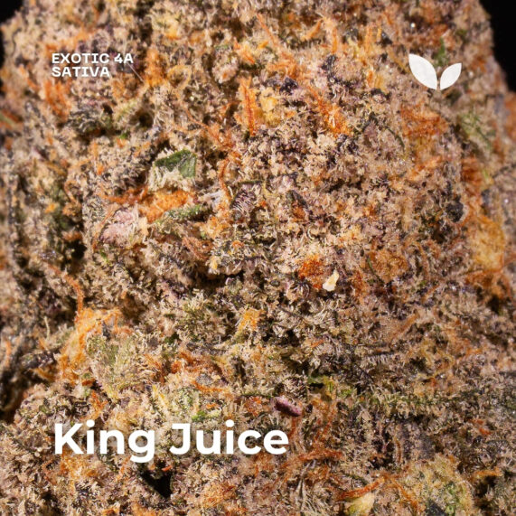 King Juice weed strain delivery phuket sativa exotic 4a