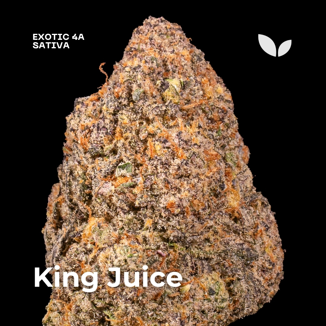 King Juice weed strain King Juice weed strain
