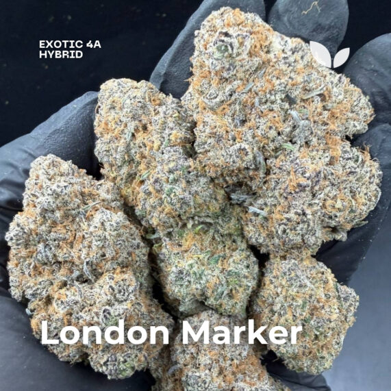 London Marker strain phuket weed delivery