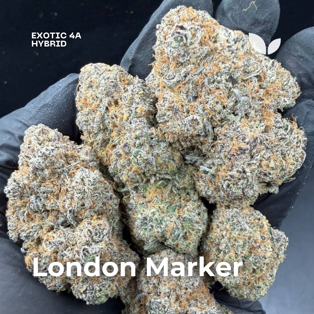 London Marker strain phuket