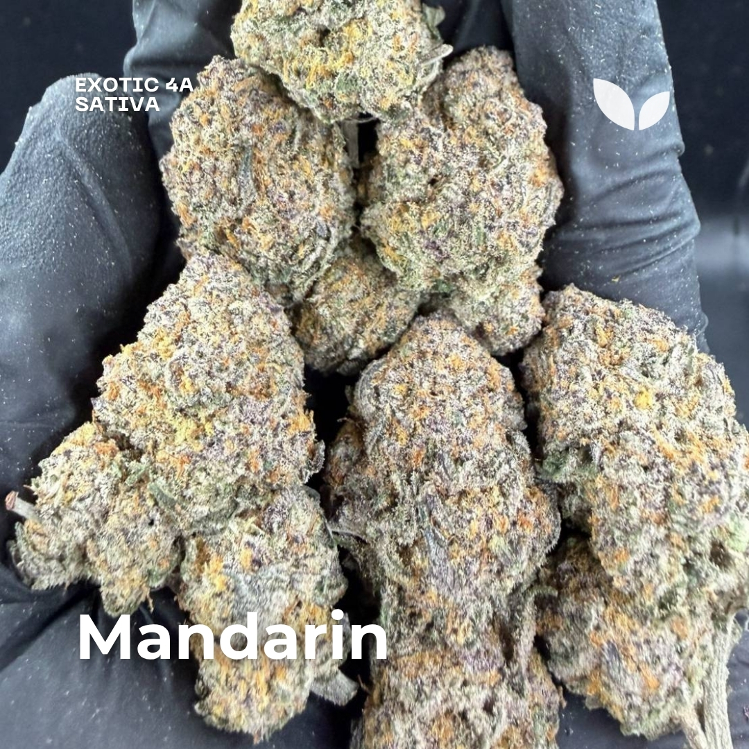Mandarin strain weed