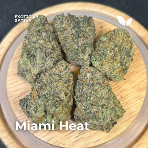 Miami Heat weed strain phuket delivery sativa