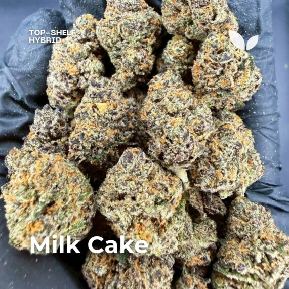 Milk Cake weed strain phuket delivery hybrid