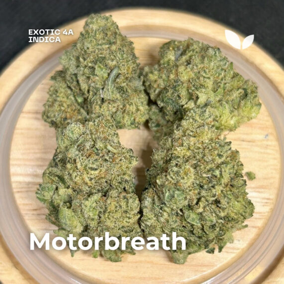 Motorbreath strain cannabis delivery phuket