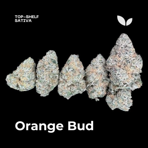 Orange Bud weed strain phuket delivery sativa