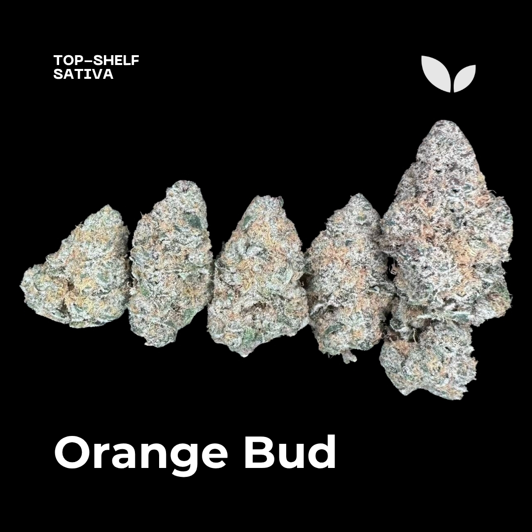 Orange Bud weed strain phuket Orange Bud weed strain phuket