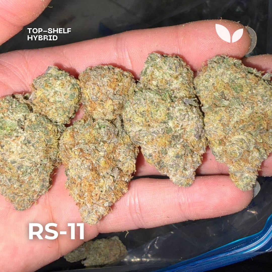 Rainbow sherbet 11 (RS-11) weed strain phuket Rainbow sherbet 11 (RS-11) weed strain phuket