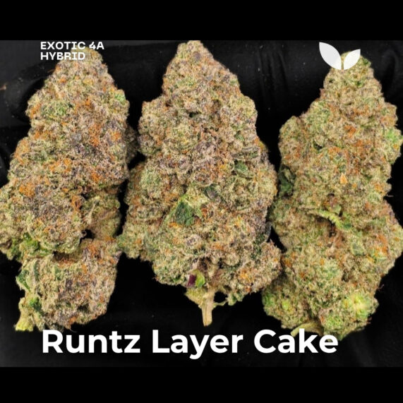 Runtz Layer Cake weed strain phuket delivery hybrid