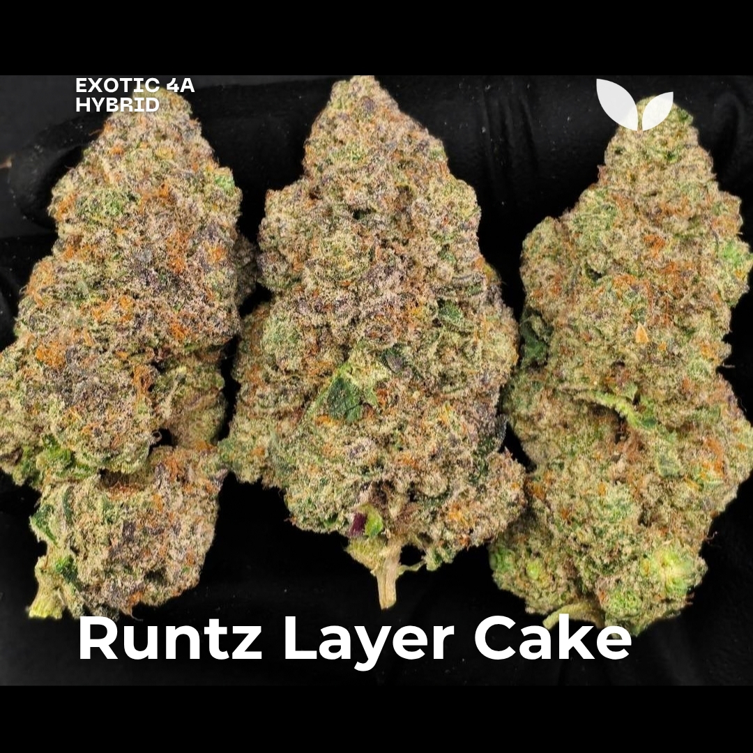 Runtz Layer Cake weed strain phuket Runtz Layer Cake weed strain phuket