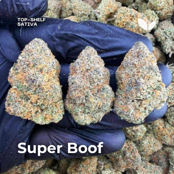 Super Boof weed strain phuket delivery sativa topshelf