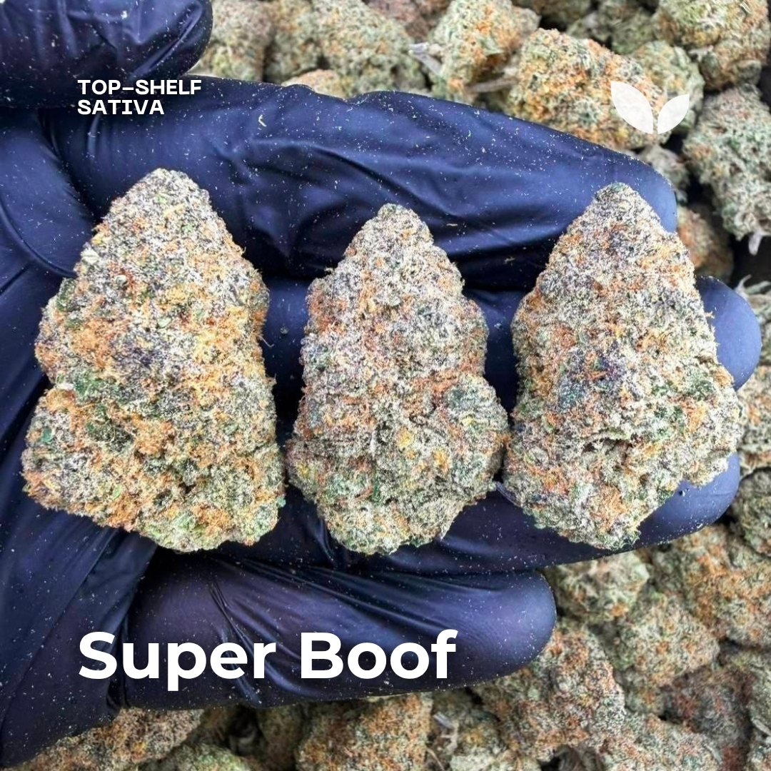 Super Boof weed strain phuket Super Boof weed strain phuket