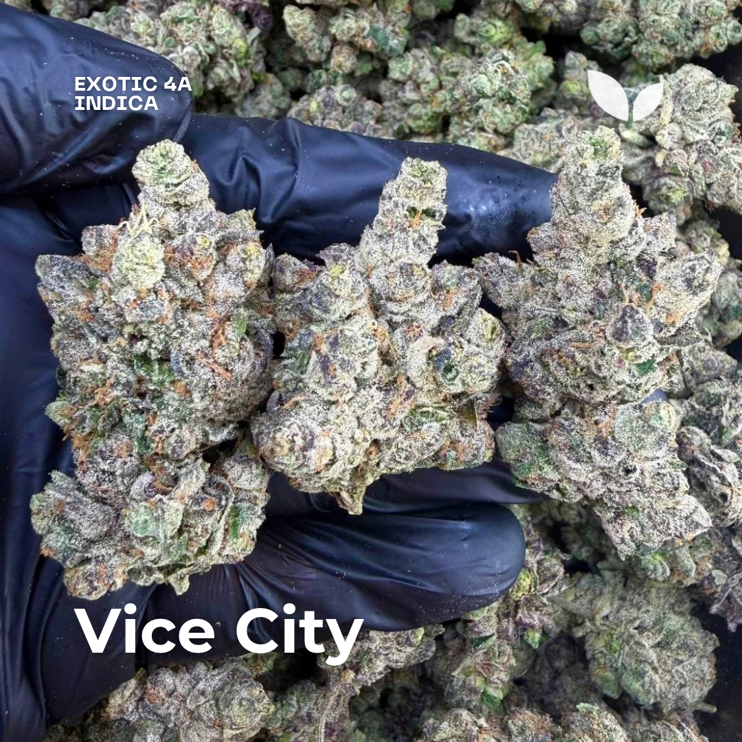 Vice City weed strain