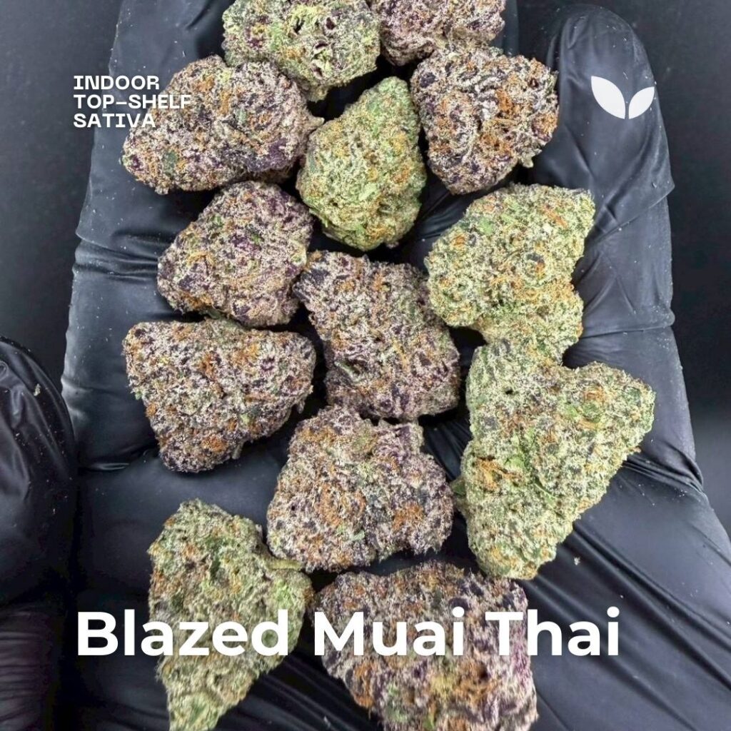 Blazed Muai Thai, 10 Grams | Classic Thai Landrace in Phuket