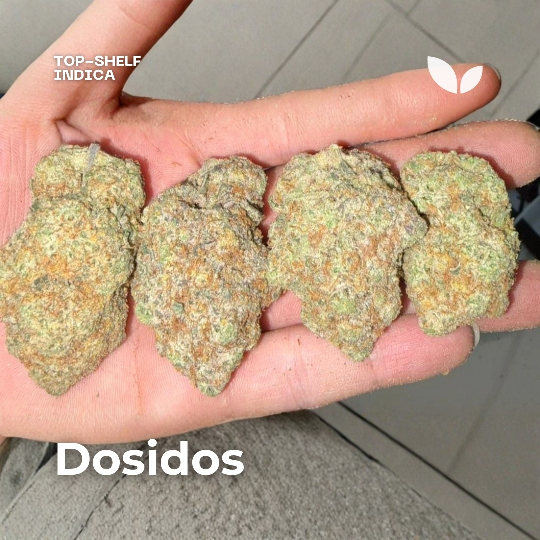 dosidos dosidos