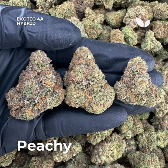 peachy cannabis strain delivery phuket