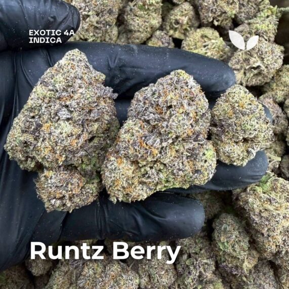 runtz berry xxll size buds cannabis delivery phuket