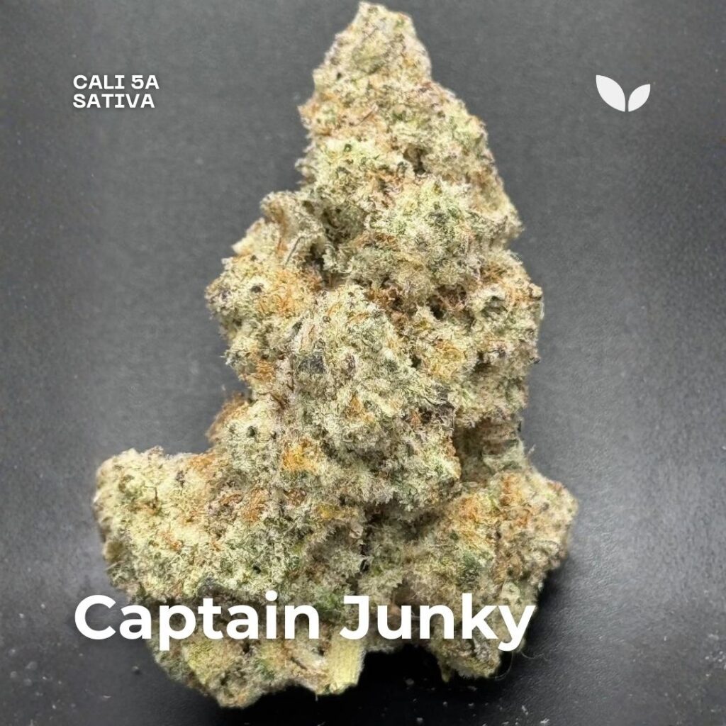 Captain Junky strain sativa Captain Junky strain sativa