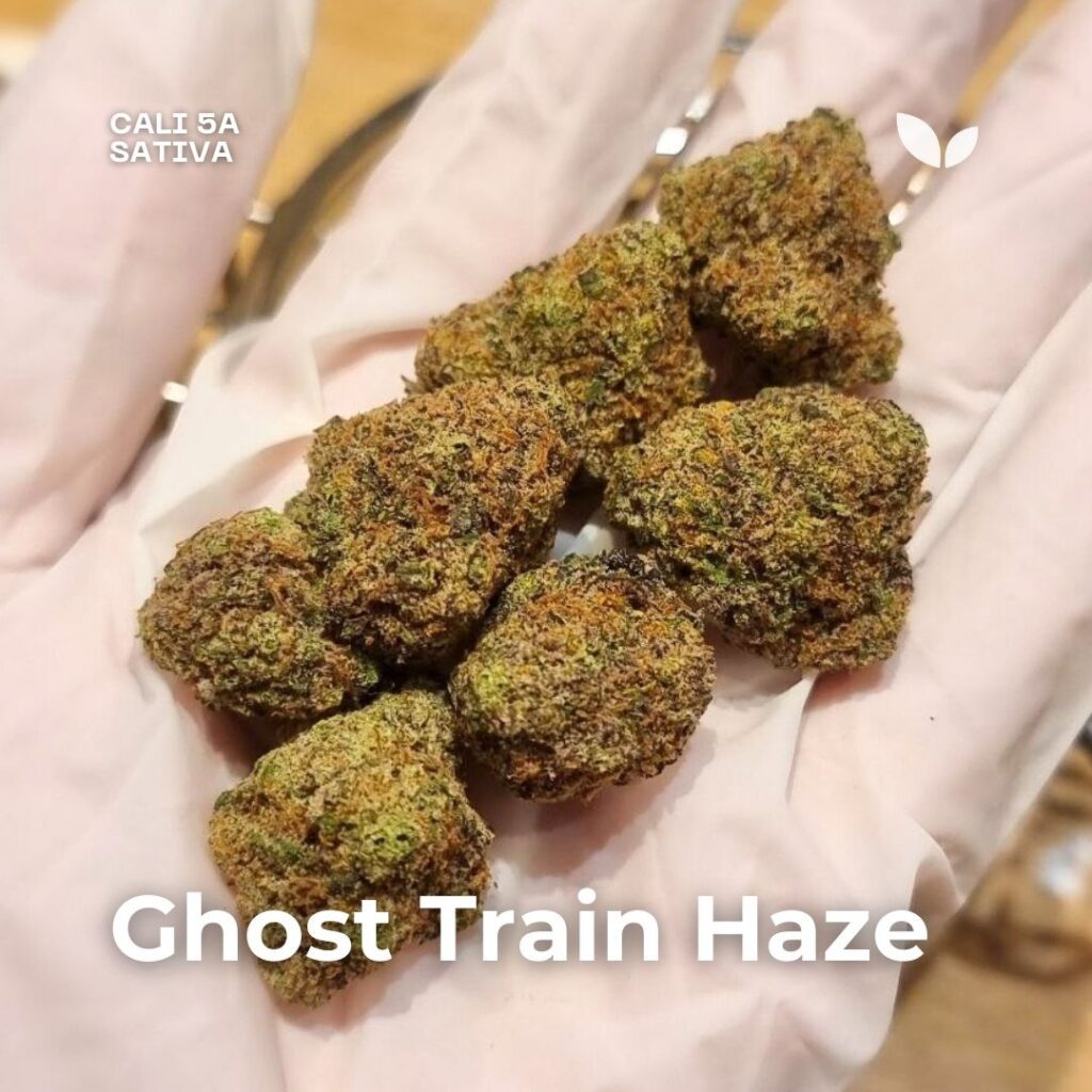Ghost Train Haze sativa strain Ghost Train Haze sativa strain