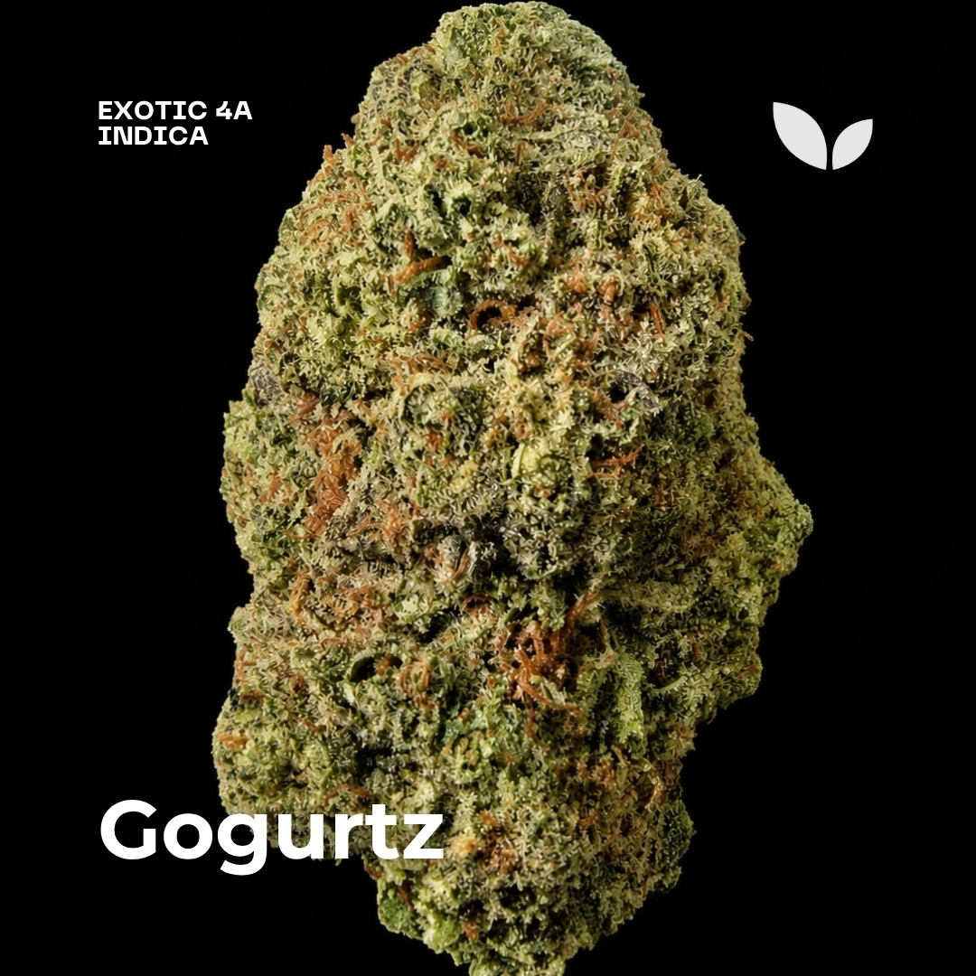 Gogurtz weed strain 1 Gogurtz weed strain 1