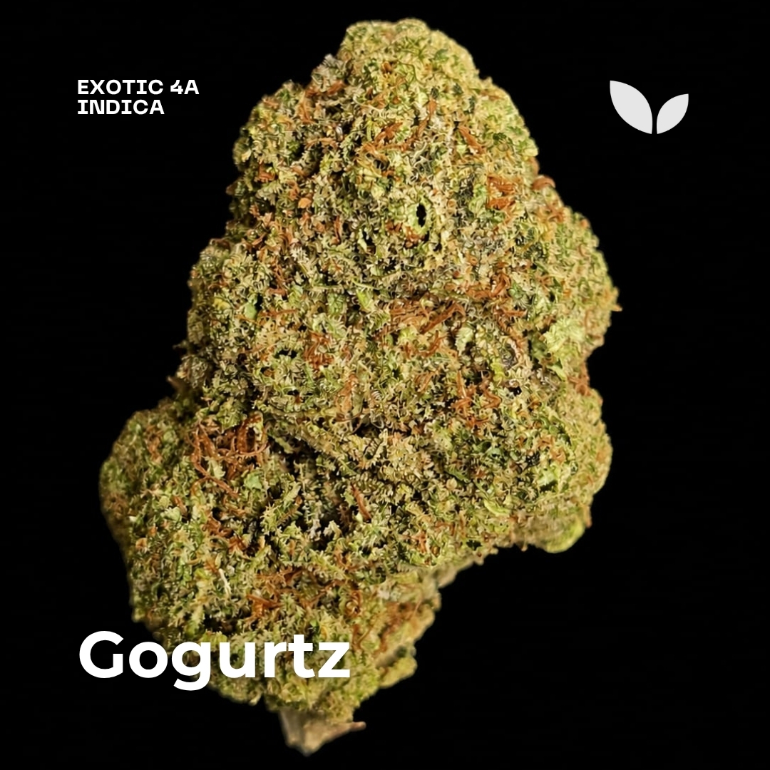 Gogurtz weed strain 3 Gogurtz weed strain 3