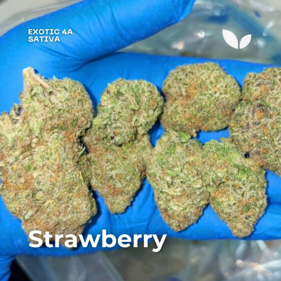 strawberry weed phuket delivery sativa