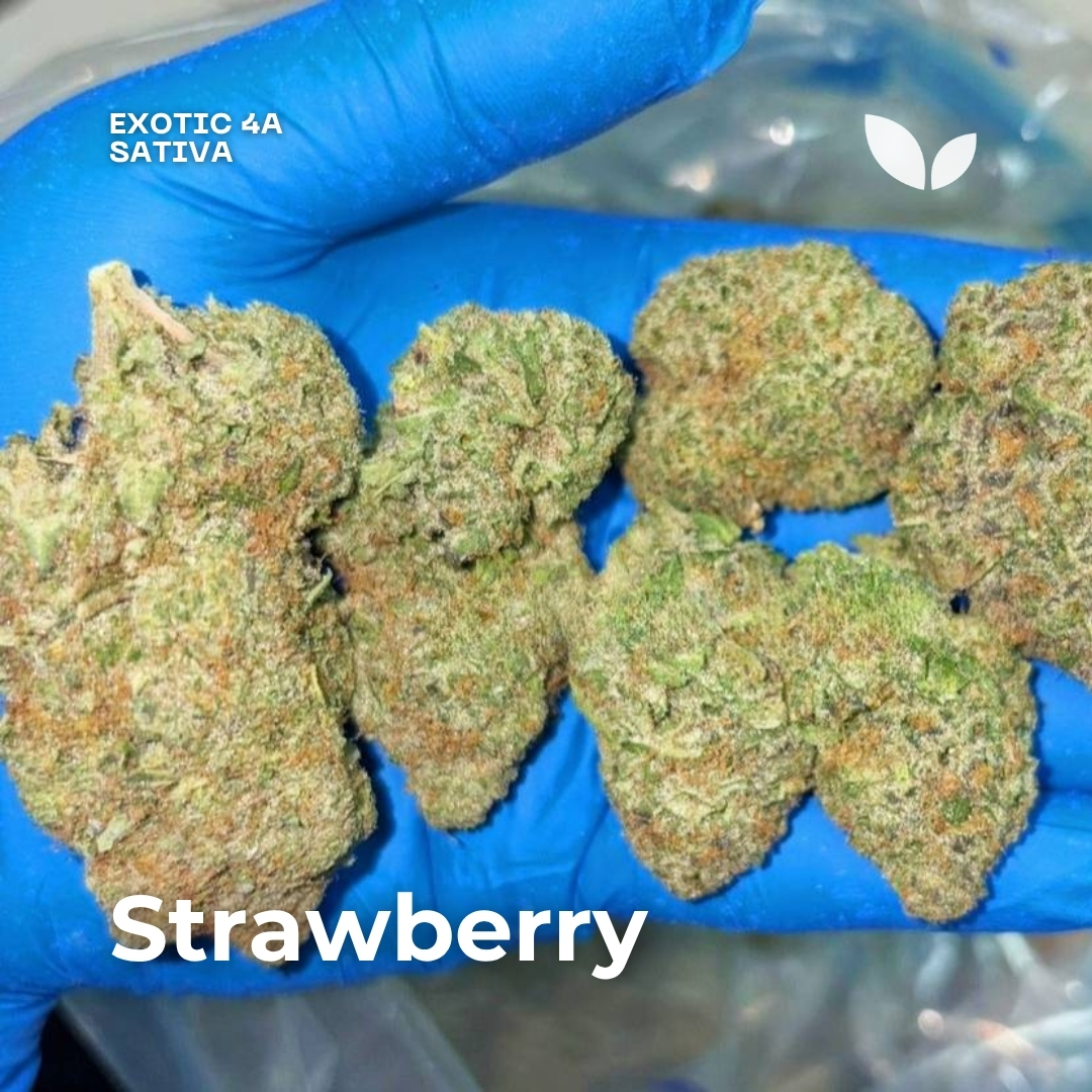strawberry weed phuket