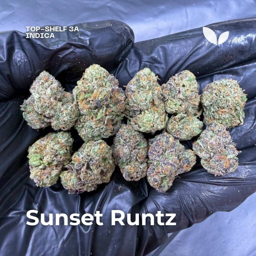 sunset runtz strain indica weed delivery phuket sunset runtz strain indica weed delivery phuket