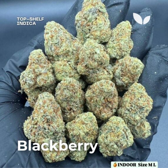 Доставка каннабиса Blackberry в Пхукет Blackberry strain indica cannabis delivery phuket