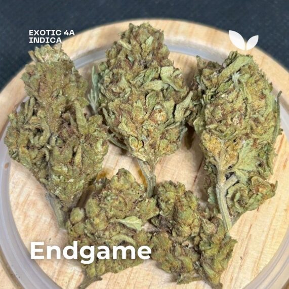 endgame cannabis phuket delivery outdoor grown 10g