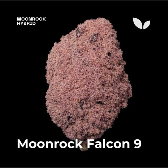 Moonrock Falcon 9 phuket weed delivery