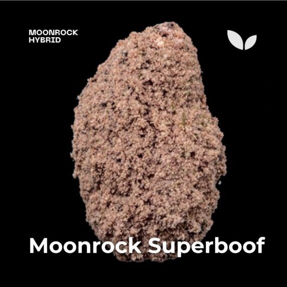 Moonrock Superboof phuket delivery