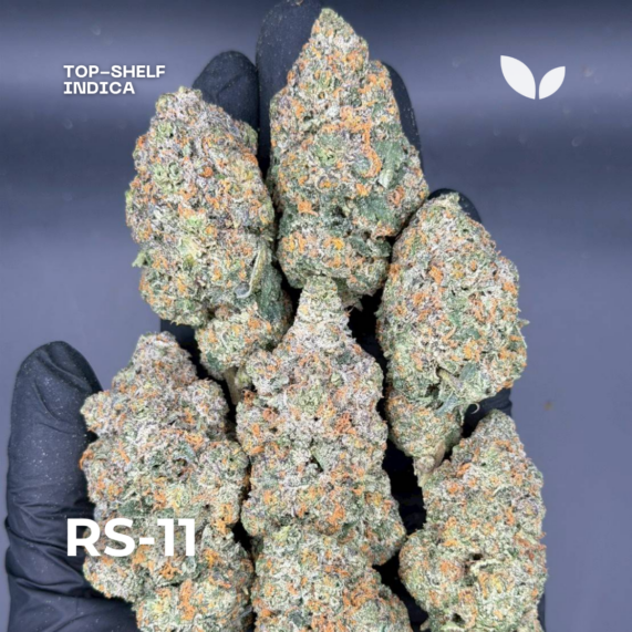 RS-11 indica weed strain phuket