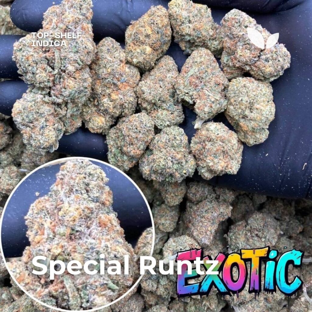 Special Runtz cannabis strain
