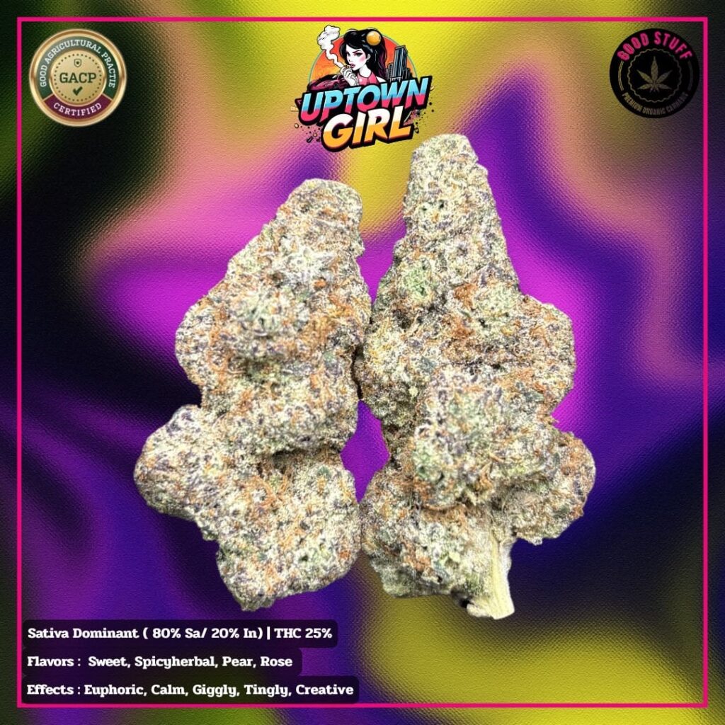 Uptown Girl weed strain phuket Uptown Girl weed strain phuket